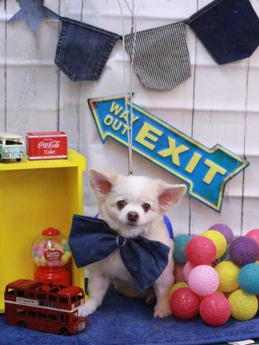 20230416ななちゃん